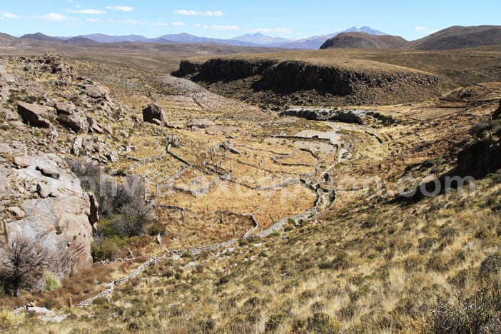 Ruines Alcaya entre les salars de Coipasa et Uyuni Ruines Alcaya entre les salars de Coipasa et Uyuni
