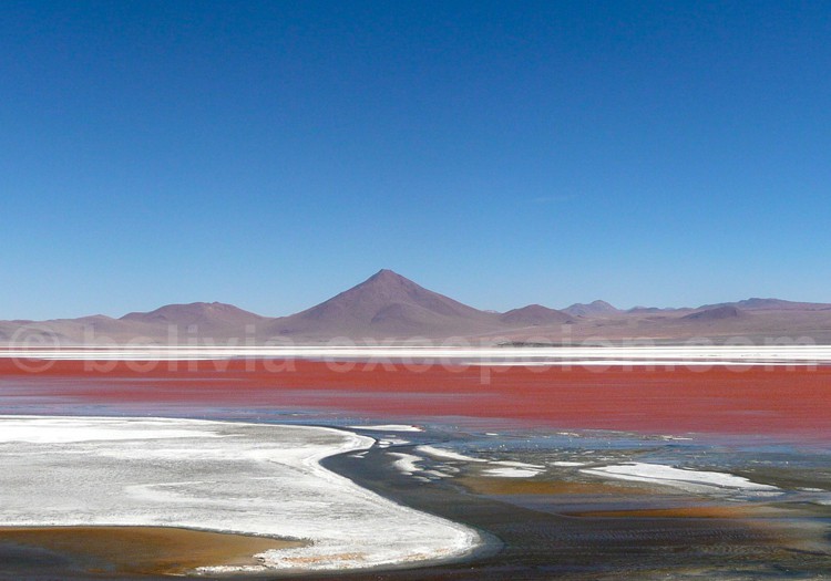 Laguna colorada, Lipez, Bolivie Laguna colorada, Lipez, Bolivie