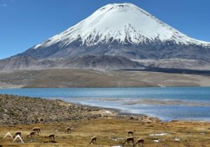 Récit Folbaum - Parc Lauca