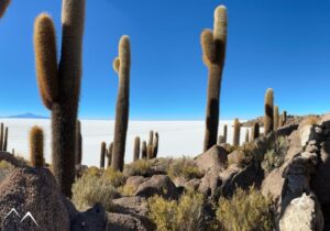Récit Folbaum - Uyuni